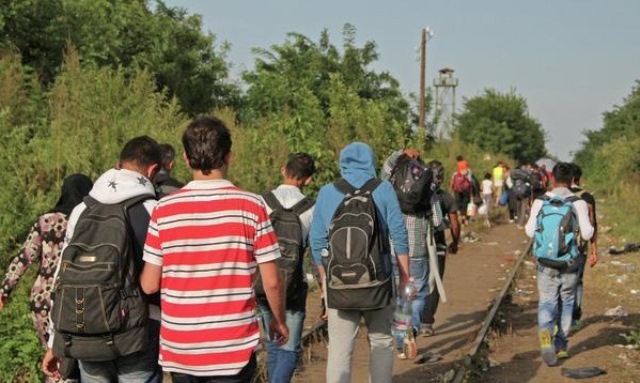Полиция Венгрии за день задержала 367 мигрантов