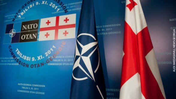 США поддержали членство Грузии в НАТО