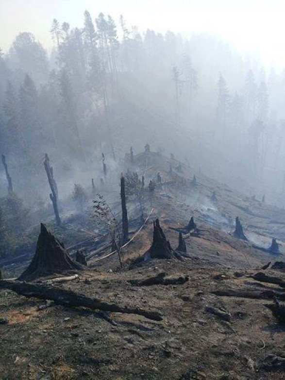 В Грузии горит национальный парк