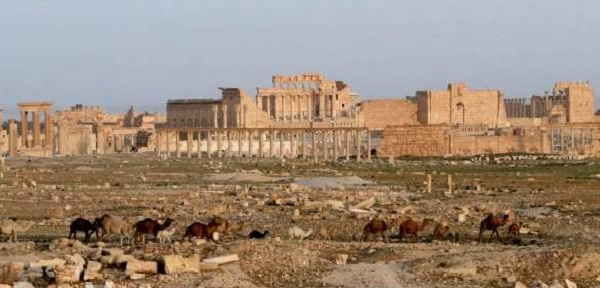 ЮНЕСКО учредила фонд по восстановлению Пальмиры