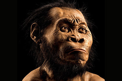 Новый вид человека обнаружен в Южной Африке