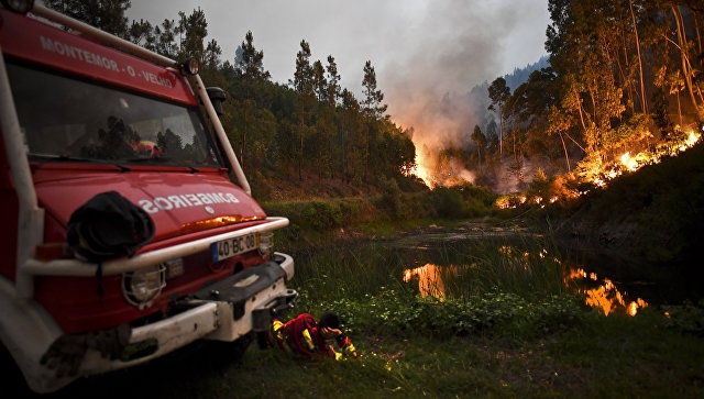 Власти Португалии обратились к ЕС за помощью в тушении пожаров