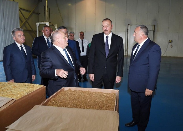 Президент Ильхам Алиев ознакомился с деятельностью завода по переработке табака в Загатале - ФОТО