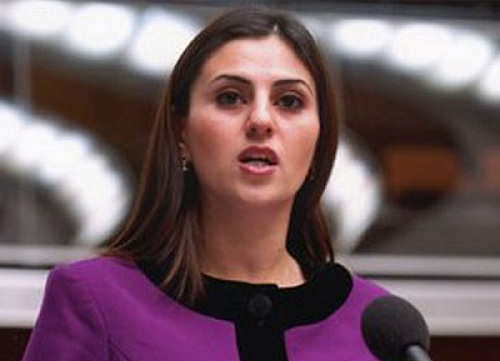 Азербайджанские депутаты рассказали в ПАСЕ о зверствах армянских оккупантов