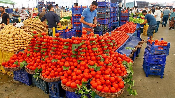 Россия допустит на свой рынок сельхозтовары из Турции