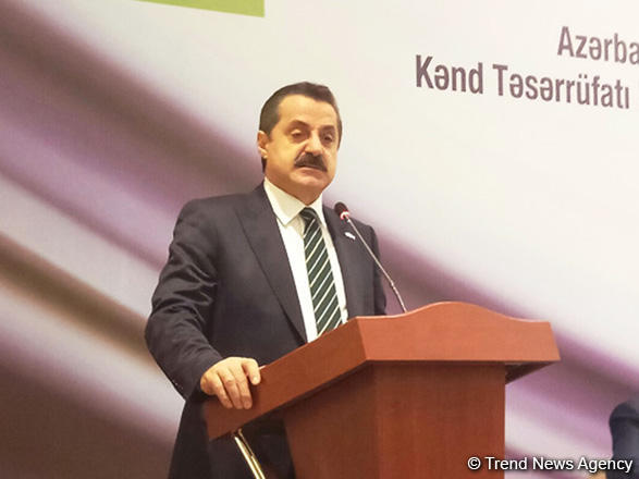 Объем торговли сельхозпродукции между Азербайджаном и Турцией необходимо увеличить - министр