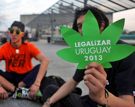 В ООН не одобрили решение Канады легализовать марихуану