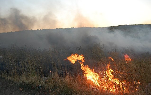 Пожар в Гирканском национальном парке локализован - ОБНОВЛЕНО