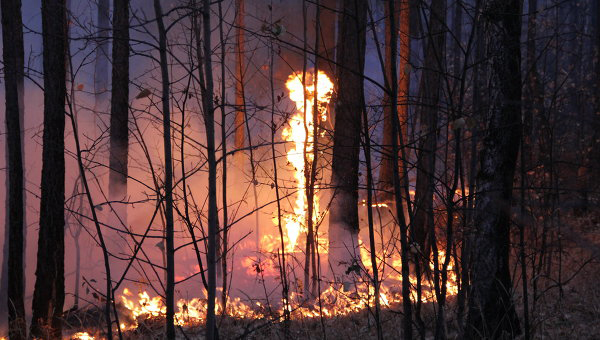 Число погибших в результате природных пожаров в Теннесси увеличилось до 13