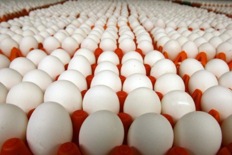 Стоимость куриных яиц в Азербайджане подорожала