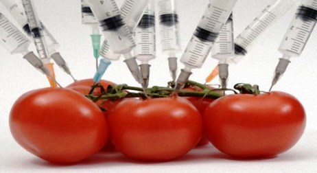 В Азербайджане запрещен ввоз импорт продуктов с ГМО