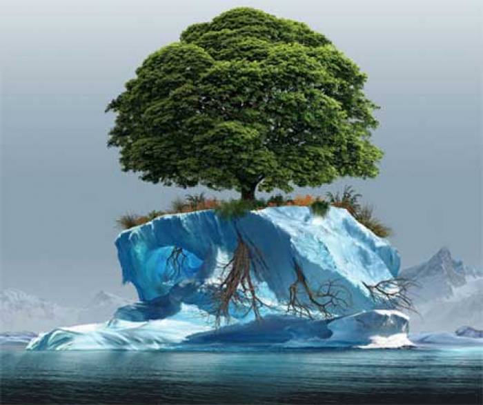 Изменение климата превратит Антарктиду в «зеленый континент»