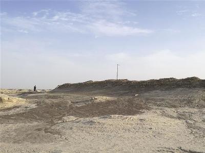 В Китае нашли руины древнего города-оазиса - ФОТО