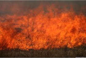 В Шабране сгорела территория площадью 200 гектаров 