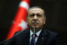 Эрдогана пытаются отговорить от военной операции в Африне – турецкий политолог 