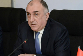 Эльмар Мамедъяров: Для решения нагорно-карабахского конфликта необходимо удвоить или утроить усилия
