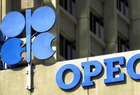 ОПЕК поддерживает уникальные отношения с Азербайджаном независимо от сложной природы нефтяного сектора