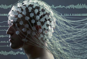 Ученые рассказали, как улучшить память и работу мозга
