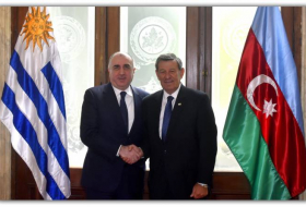 Уругвай намерен в дальнейшем еще больше углублять отношения с Азербайджаном 