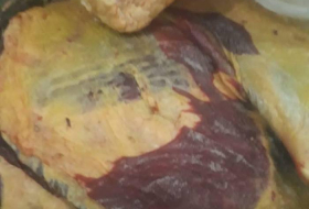 В Азербайджане обнаружено свыше 0,5 тонны мяса неизвестного происхождения - ФОТО