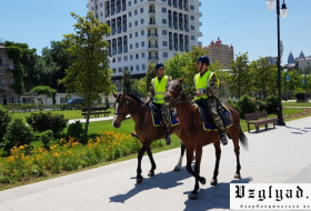 Конный патруль в Баку приятно удивил футбольных болельщиков- ВИДЕО