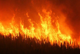 В Огузском районе начался пожар в горной местности
