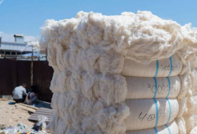 Таджикистан экспортировал хлопка-волокна почти на 50 миллионов долларов