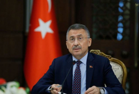 Вице-президент Турции: Нормализация отношений будет зависеть от шагов Армении
