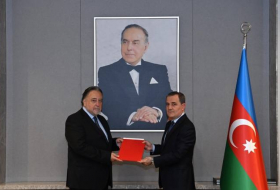 Глава МИД Азербайджана принял верительные грамоты посла Чешской Республики
