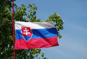 В Словакии будут проведены заседания правительства и Госсовета безопасности
