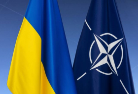 НАТО попросили Зеленского не давить на альянс с вопросом о вступлении Украины
