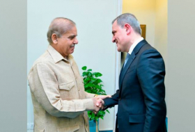 Пакистан и Азербайджан обсудили перспективы развития сотрудничества-ФОТО
