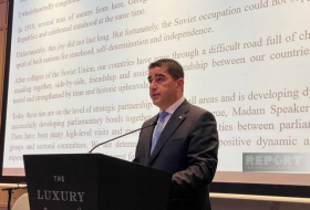 Папуашвили: Мы тесно сотрудничаем с Азербайджаном в обеспечении регионального мира