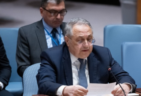 В СБ ООН рассказали о минной проблеме Азербайджана
