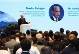 Министр: Азербайджан признан в мире сильной страной