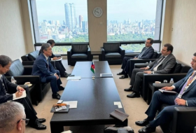 МИД Азербайджана и Японии провели политконсультации: японские компании приглашены в страну