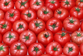 Азербайджанские помидоры не прошли проверку на экспорт