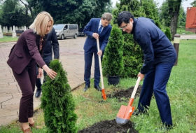 В столице Молдовы в рамках Года солидарности во имя зеленого мира прошла акция по посадке деревьев