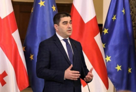 Папуашвили: Возвращение партии Саакашвили к власти будет означать приговор для всей Грузии
