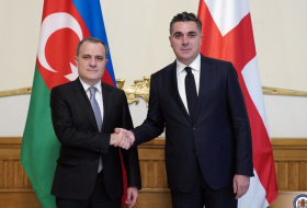 Глава МИД Грузии: Готовы продолжать укреплять связи с Азербайджаном