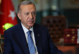 Президент Турции провел телефонный разговор с новым Генсеком НАТО
