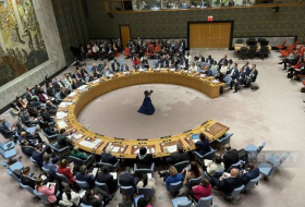 Избраны новые временные члены Совета безопасности ООН
