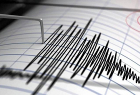 В турецком Кахраманмараше произошло землетрясение
