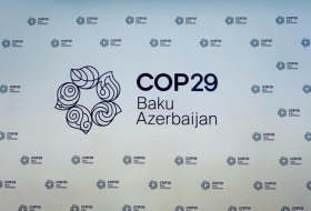 Завершается регистрация на волонтерскую программу COP29