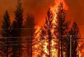 За последние 20 лет экстремальные пожары проносятся по планете вдвое чаще