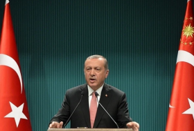 Эрдоган: Годовая потребность Нахчывана в энергии будет покрываться через Турцию