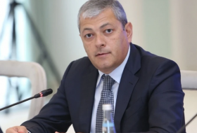 Айдын Керимов: Азербайджан надеется на участие зарубежных партнеров в восстановлении города Шуша