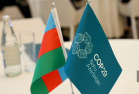ООН намерена тесно сотрудничать с Азербайджаном в рамках председательства COP29