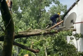 В Габалинском районе крупноствольное дерево упало на жилой дом