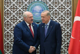 Эрдоган и Лукашенко обсудили в Астане урегулирование российско-украинского кризиса
